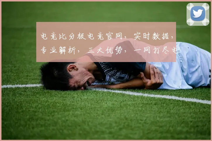 电竞比分极电竞官网，实时数据，专业解析，三大优势，一网打尽电竞精彩