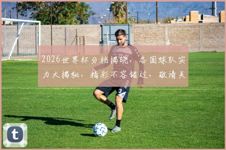 2026世界杯分档揭晓，各国球队实力大揭秘，精彩不容错过，敬请关注