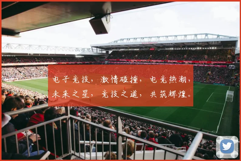 电子竞技，激情碰撞，电竞热潮，未来之星，竞技之道，共筑辉煌。